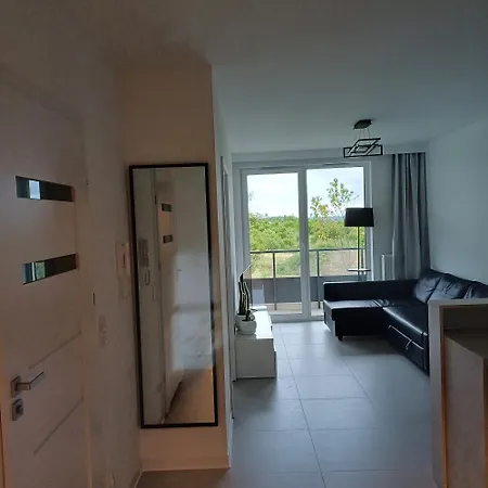 Szary * غدانسك